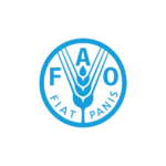Webs-10